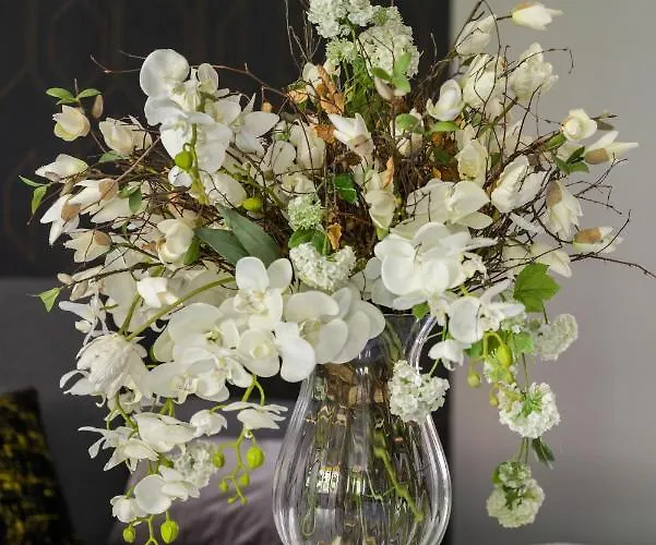 Chociszewskiego By Renters * Πόζναν